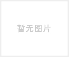 德国品牌zimmer系列-电机主轴 货期快，价格低，服务优